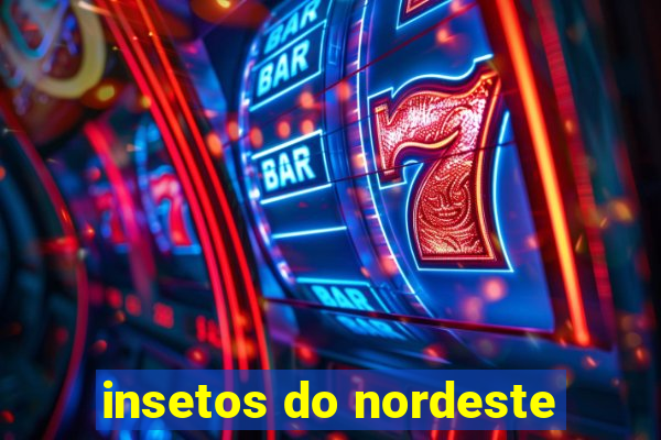 insetos do nordeste